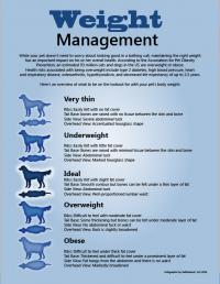 weight_management